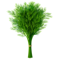 Fresh Dills 1 Bunch