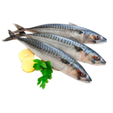 Negro - Frozen Mackerel / Macrou 300-500g/piece (~1.3kg)