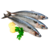 Negro - Frozen Mackerel / Macrou 300-500g/piece (~1.3kg)